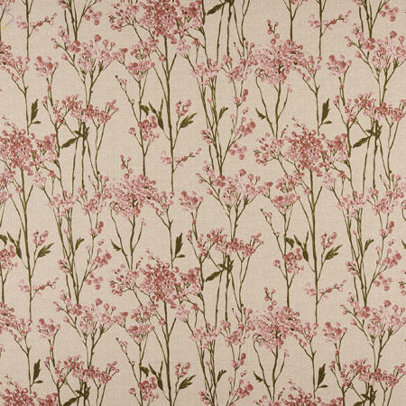 Celina Blush